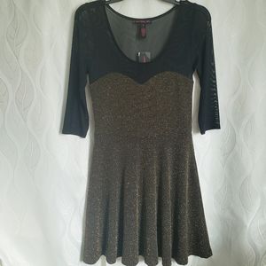 NWT Metallic Sheer Mesh A-Line Mini Dress